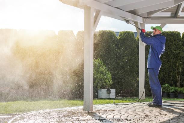 Best Driveway Pressure Washing  in Tarpon Springs, FL