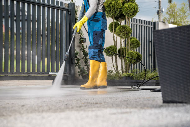 Animal Enclosure Cleaning in Tarpon Springs, FL